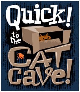 cat in a box